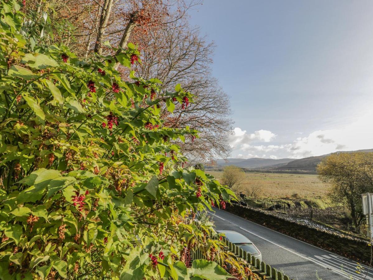 Bryn Melyn Artist'S Cottage Llanelltyd 외부 사진